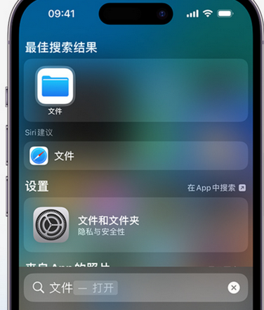 行唐apple维修中心分享iPhone文件应用中存储和找到下载文件 