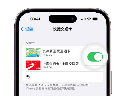 行唐apple维修点分享iPhone上更换Apple Pay快捷交通卡手绘卡面 