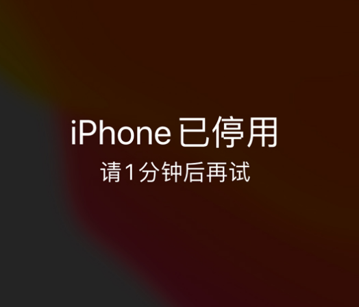 行唐苹果手机维修分享:iPhone 显示“不可用”或“已停用”怎么办？还能保留数据吗？ 