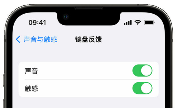 行唐苹果手机维修分享iPhone 14触感键盘使用方法 