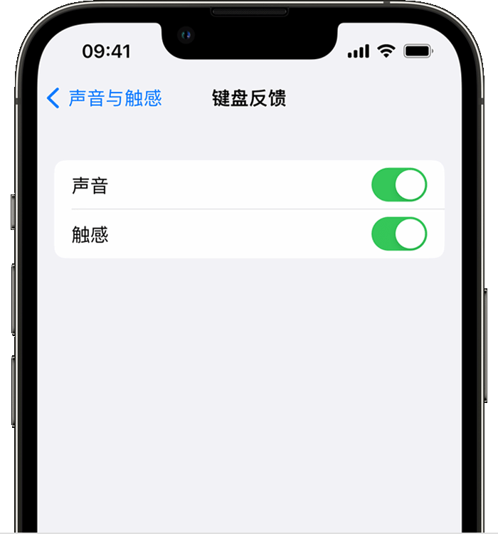 行唐苹果14维修店分享如何在 iPhone 14 机型中使用触感键盘 