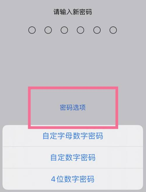 行唐苹果14维修分享iPhone 14plus设置密码的方法 