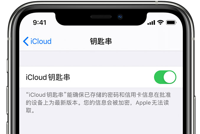 行唐苹果手机维修分享在 iPhone 上开启 iCloud 钥匙串之后会储存哪些信息 