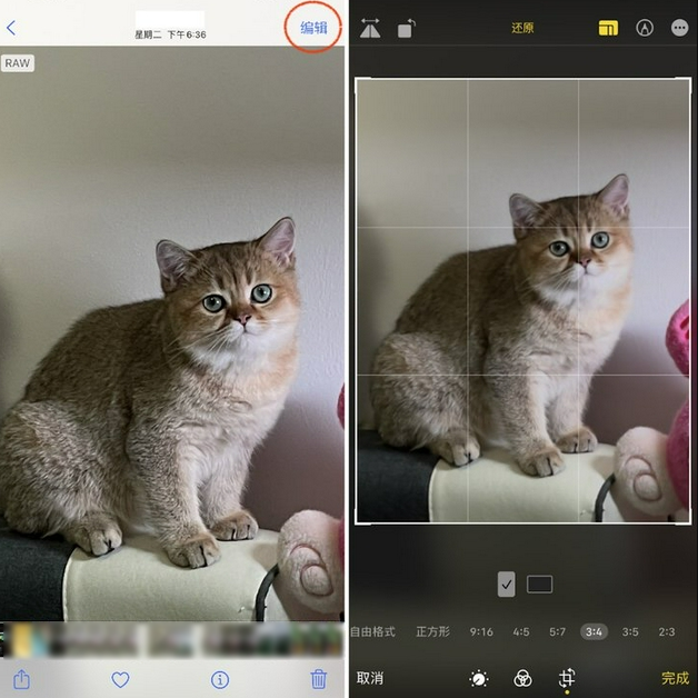 行唐苹果手机维修分享苹果 iPhone 12 Pro 拍照会过度锐化 