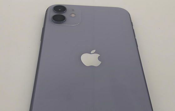 行唐苹果11系统维修分享iPhone11手机系统崩溃无法开机如何解决 